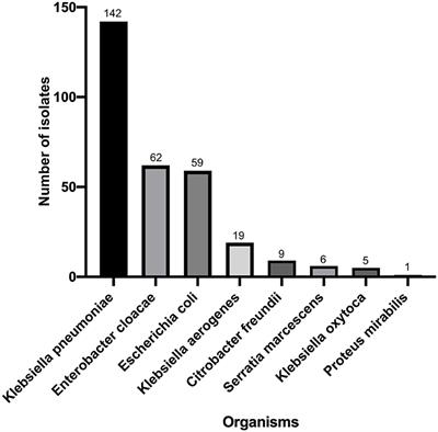 Performance Evaluation of BD Phoenix NMIC-413 Antimicrobial Susceptibility Testing Panel for Imipenem, Meropenem, and Ertapenem Against Clinical Carbapenem-Resistant and Carbapenem-Susceptible Enterobacterales